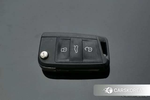 Skoda Speed pie id 4210065 из Китая 9