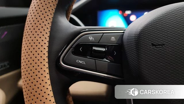 Renault Korea (Samsung) Grand Coleos id 4185796 из Кореи 9