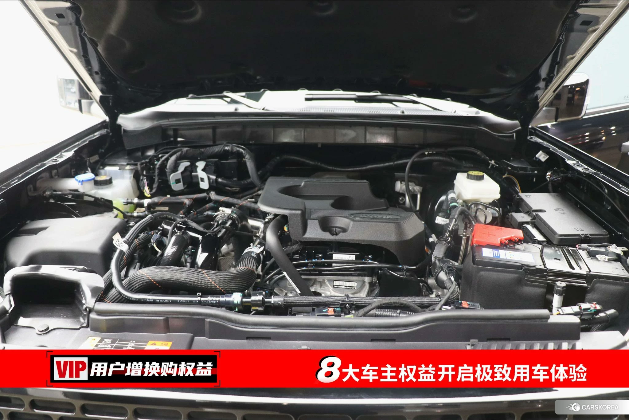 Ford Lie Ma id 4512843 из Китая 9