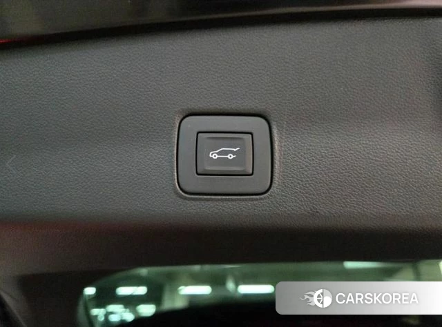 Chevrolet (GM Daewoo) Trailblazer id 4905742 из Кореи 9