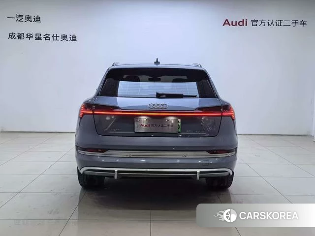 Audi e-tron id 4265961 из Китая 9