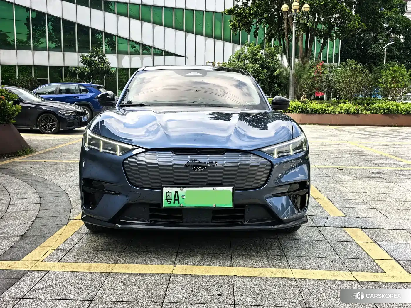 Ford Electric horse id 4674453 из Китая 10