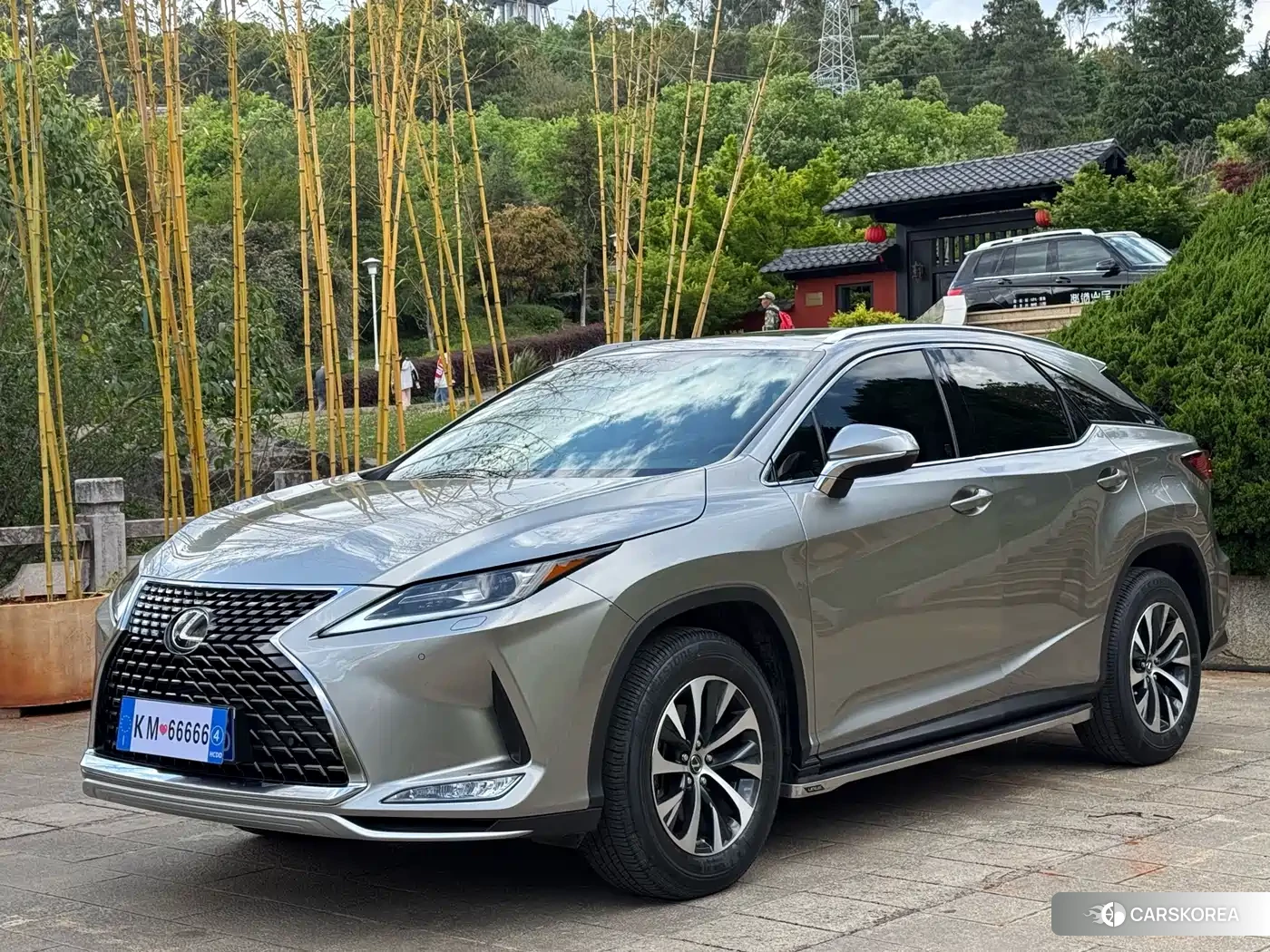 Lexus RX id 4601076 из Китая 9