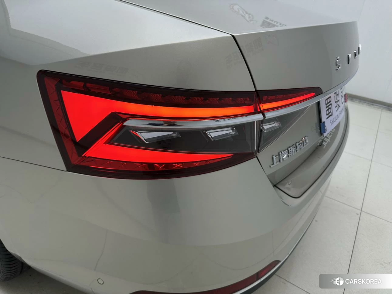 Skoda Speed pie id 4420812 из Китая 9