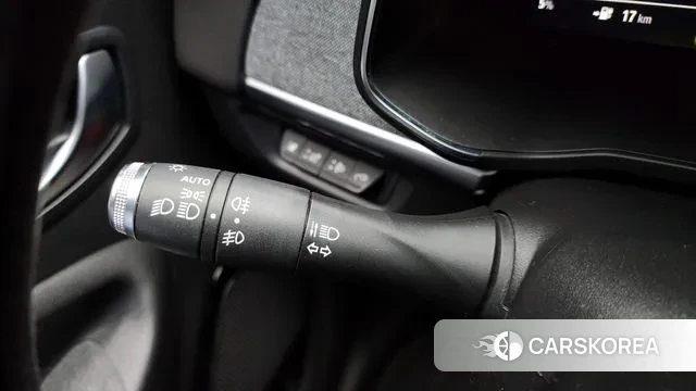 Renault Korea (Samsung) Joe id 3444118 из Кореи 9