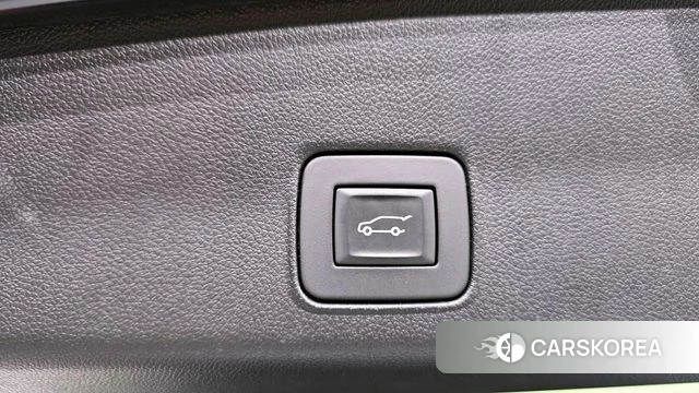 Chevrolet (GM Daewoo) Trailblazer id 3898508 из Кореи 9