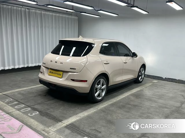 Euler Good cat id 3875987 из Китая 9