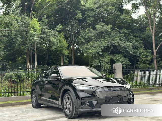 Ford Electric horse id 4394074 из Китая 9