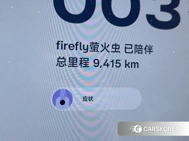 firefly firefly Unknown id 3993380 из Китая 9