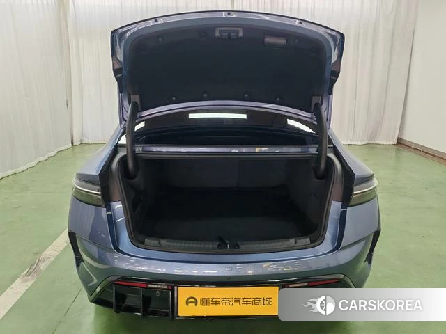 BYD seal id 4242416 из Китая 9