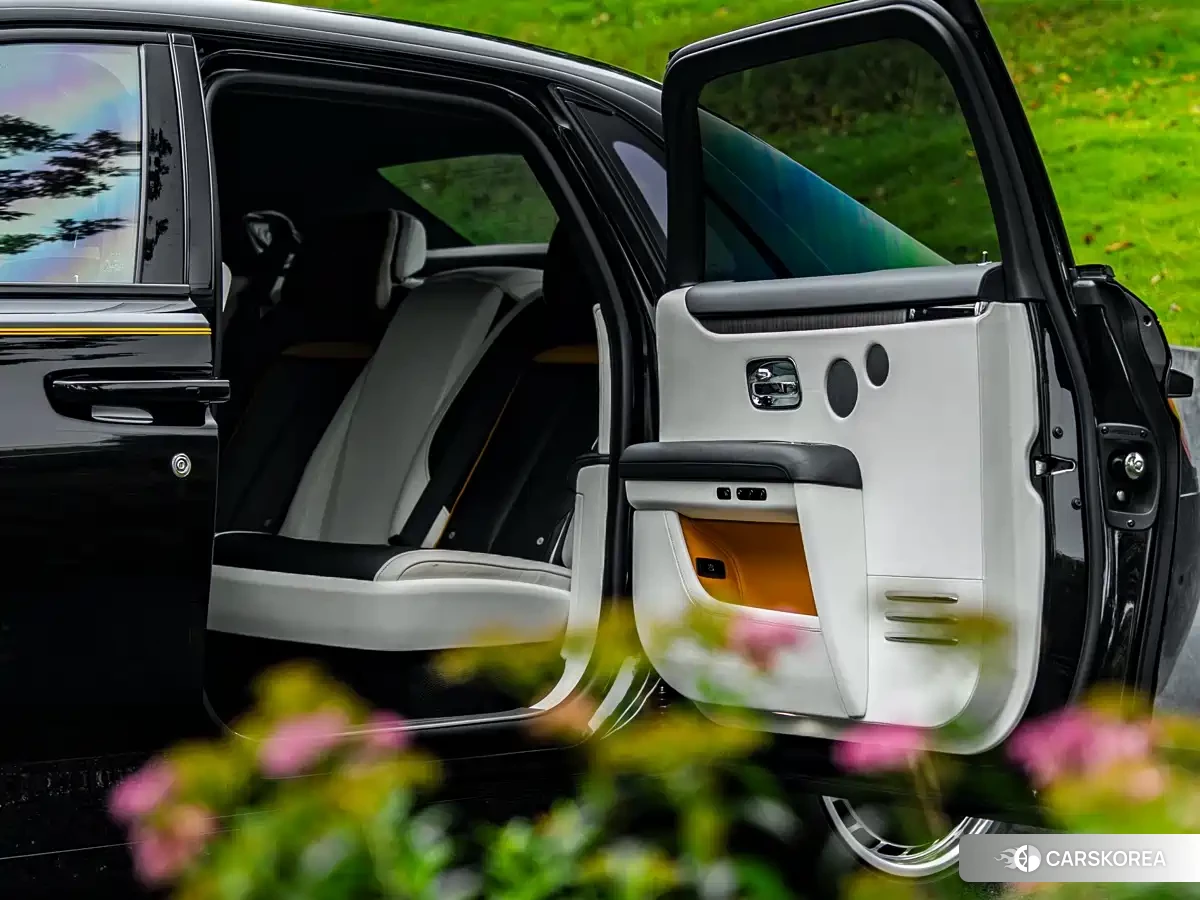 Rolls-Royce Gust id 4545647 из Китая 9