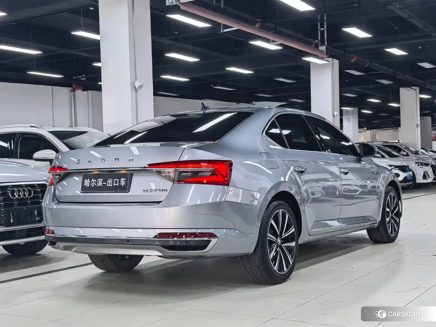 Skoda Speed pie id 4578277 из Китая 9