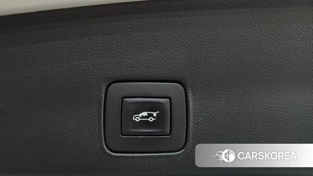 Chevrolet (GM Daewoo) Trailblazer id 4712158 из Кореи 9