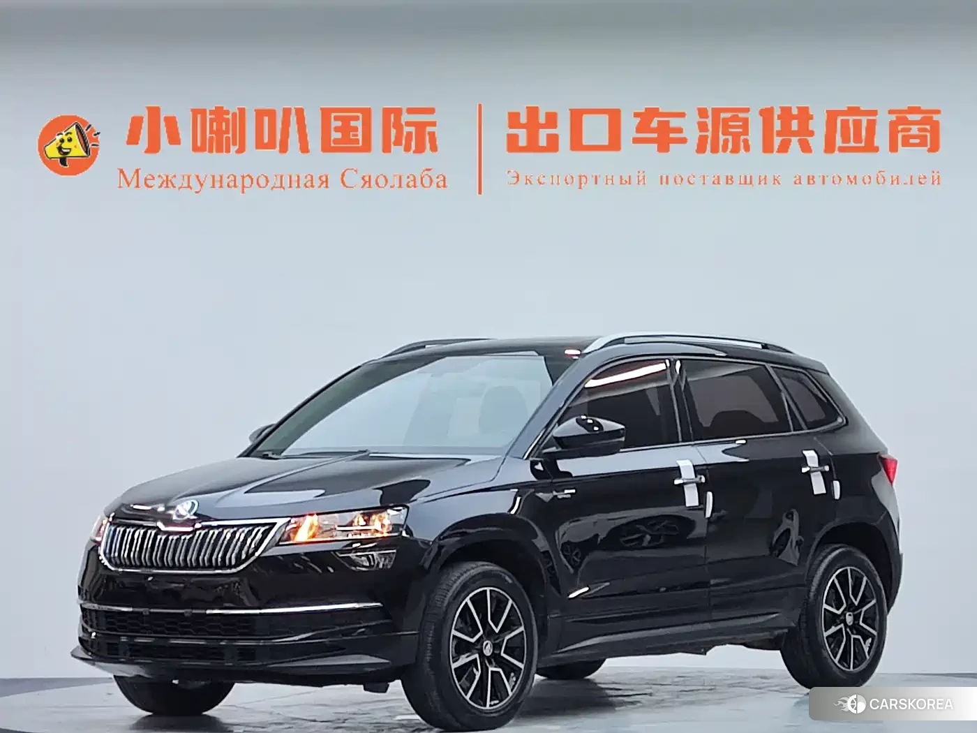 Skoda Karoq id 4629580 из Китая 9