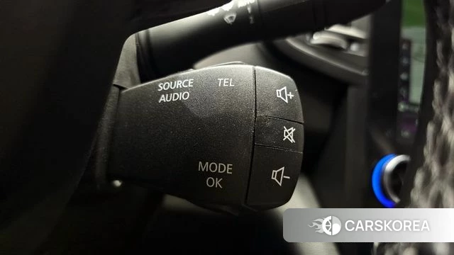 Renault Korea (Samsung) QM6 id 4390475 из Кореи 9