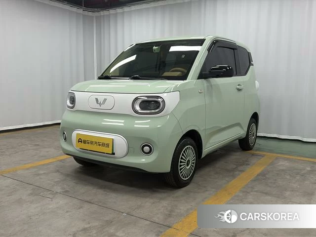 Wuling Automobile Wuling Hongguang MINIEV id 4182563 из Китая 9