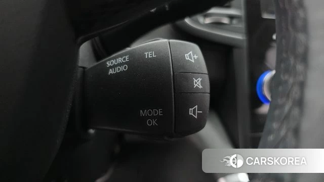Renault Korea (Samsung) The New QM6 id 4667356 из Кореи 9