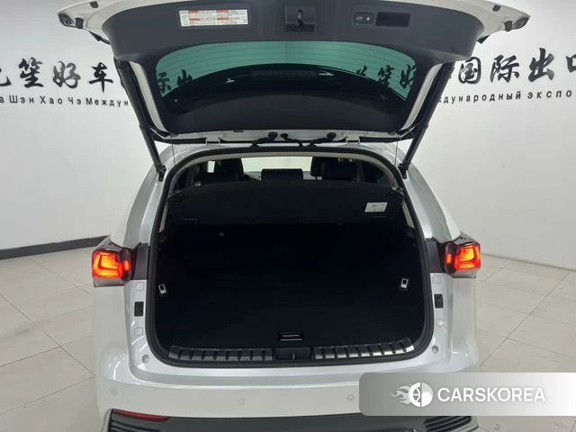 Lexus NX id 4263001 из Китая 9