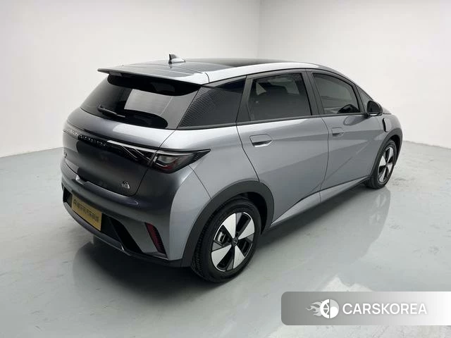BYD dolphin id 4236414 из Китая 9