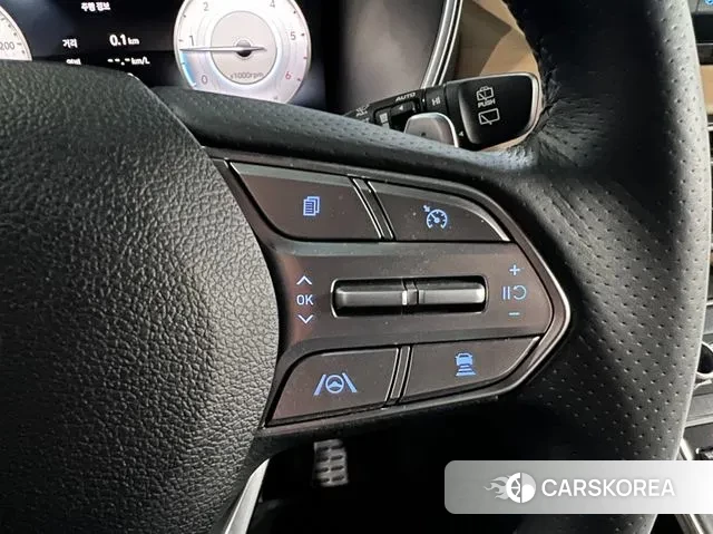 Hyundai The New Santa Fe id 3021417 из Кореи 9