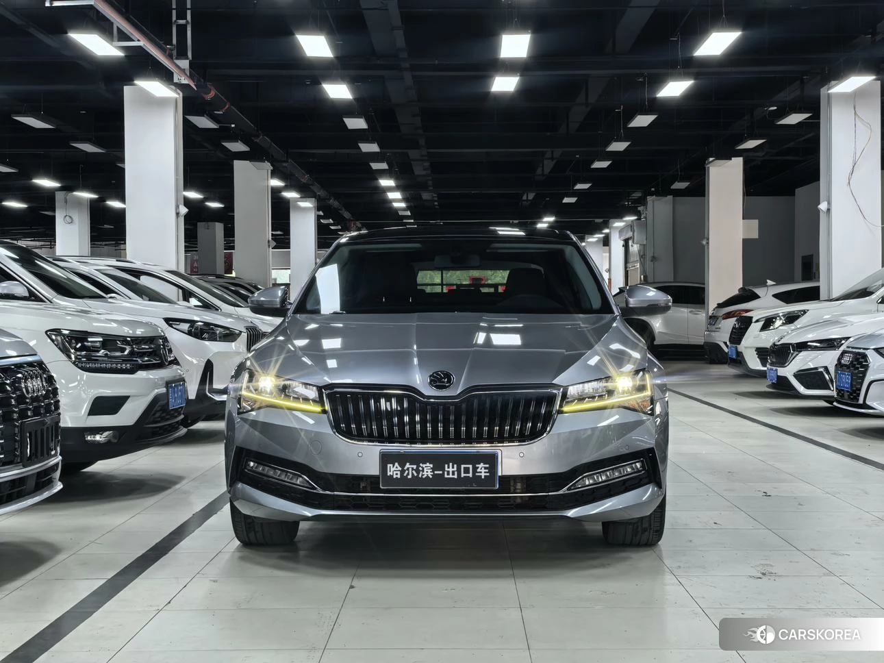 Skoda Speed pie id 4452178 из Китая 9