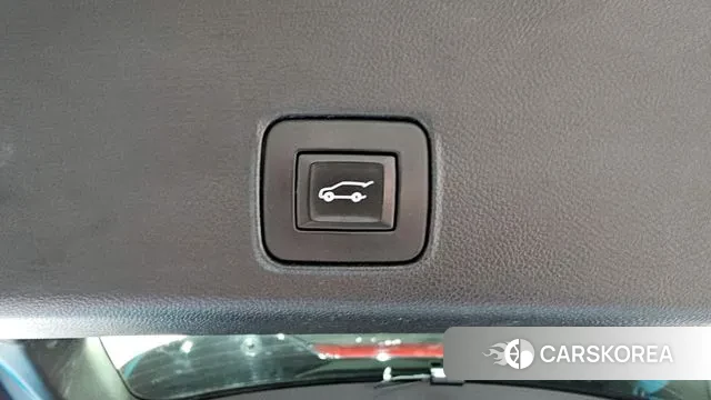 Chevrolet (GM Daewoo) Trailblazer id 3788963 из Кореи 9