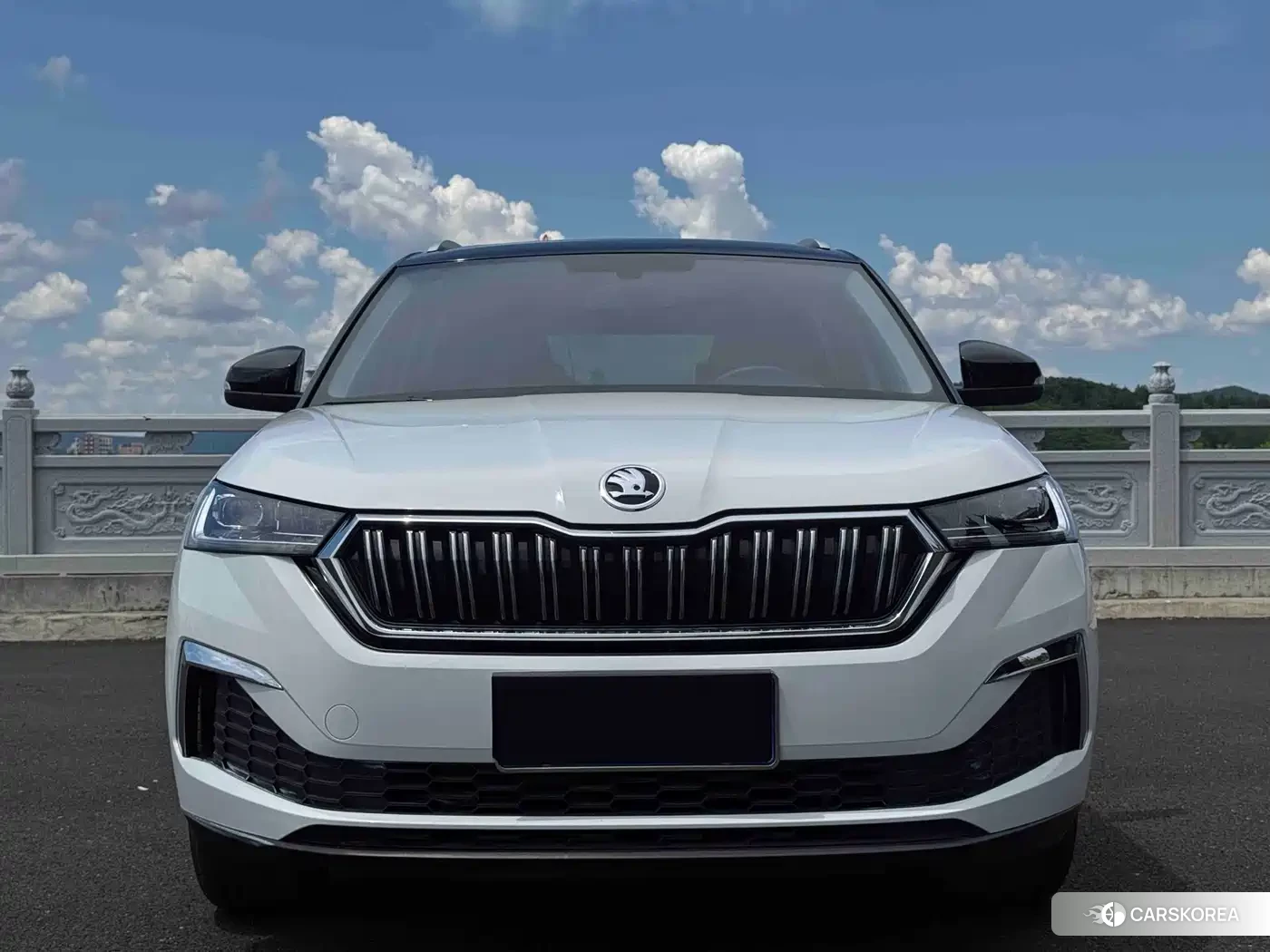 Skoda Komick id 4515539 из Китая 9
