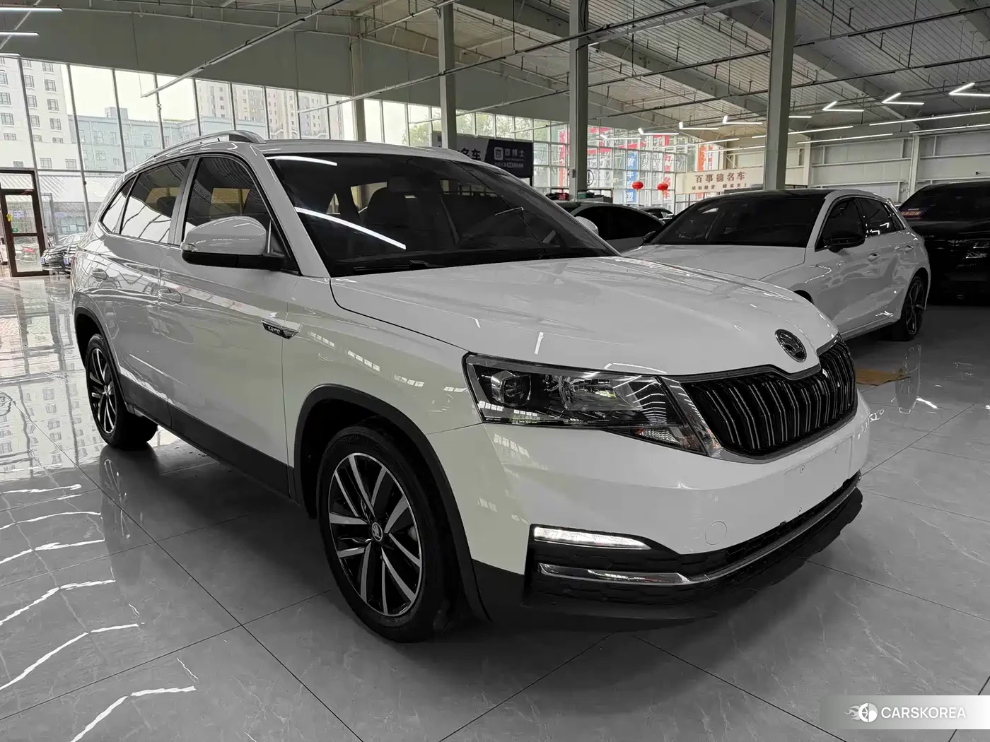 Skoda Kamiq id 4600557 из Китая 9