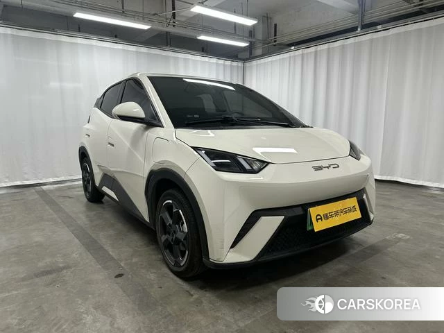 BYD Seagull id 4217467 из Китая 9
