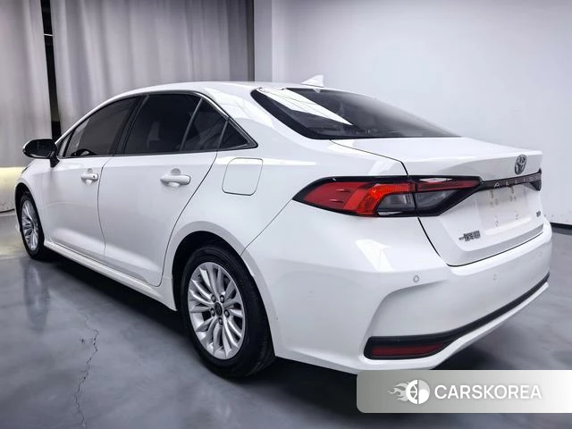 Toyota Asian lion id 4274425 из Китая 9