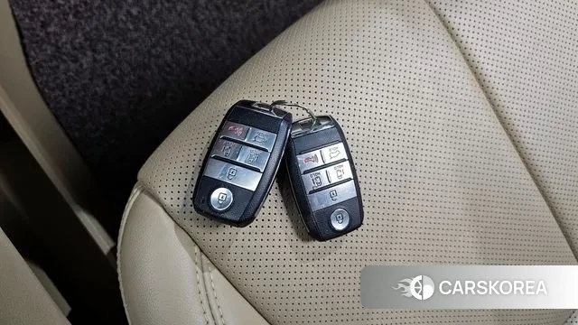 Kia The New Carnival id 3773130 из Кореи 9