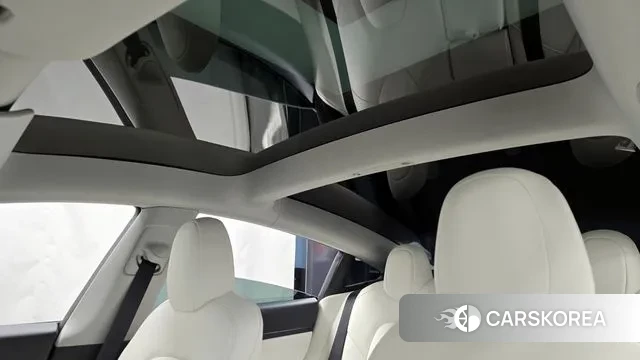 Tesla Model 3 id 3458980 из Кореи 9