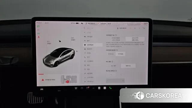 Tesla Model 3 id 3504449 из Кореи 9