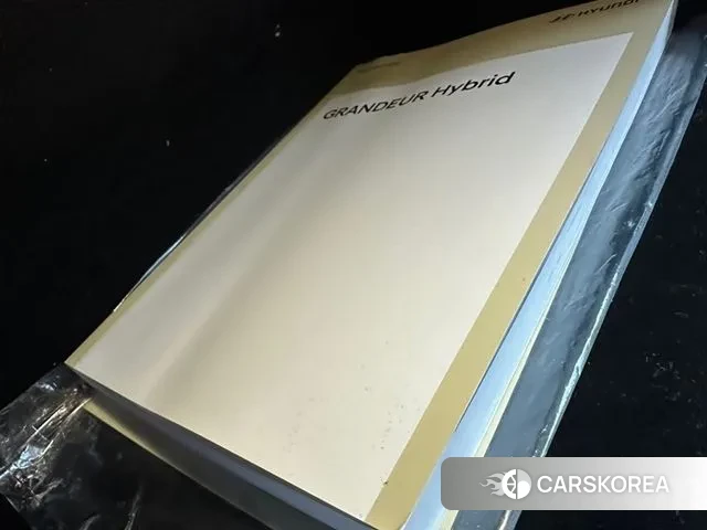 Hyundai The New Grandeur IG Hybrid id 2999709 из Кореи 9