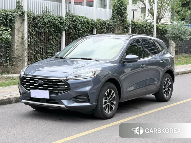 Ford Ruiji id 4216213 из Китая 9