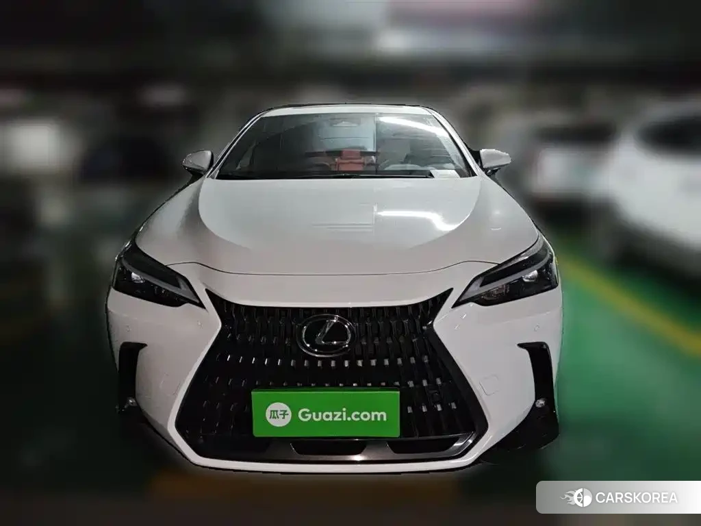 Lexus NX id 4538642 из Китая 9