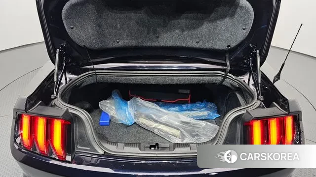 Ford Mustang id 3003592 из Кореи 9