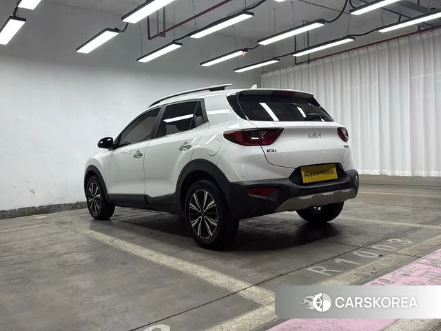 Kia Yi Ran id 4259266 из Китая 9