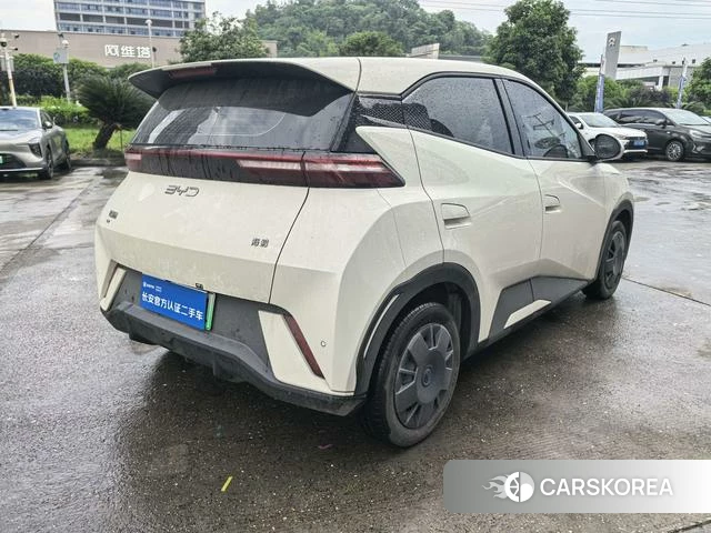 BYD Seagull id 4213284 из Китая 9