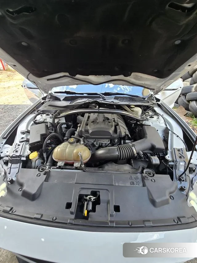 Ford Mustang id 3076841 из Кореи 9