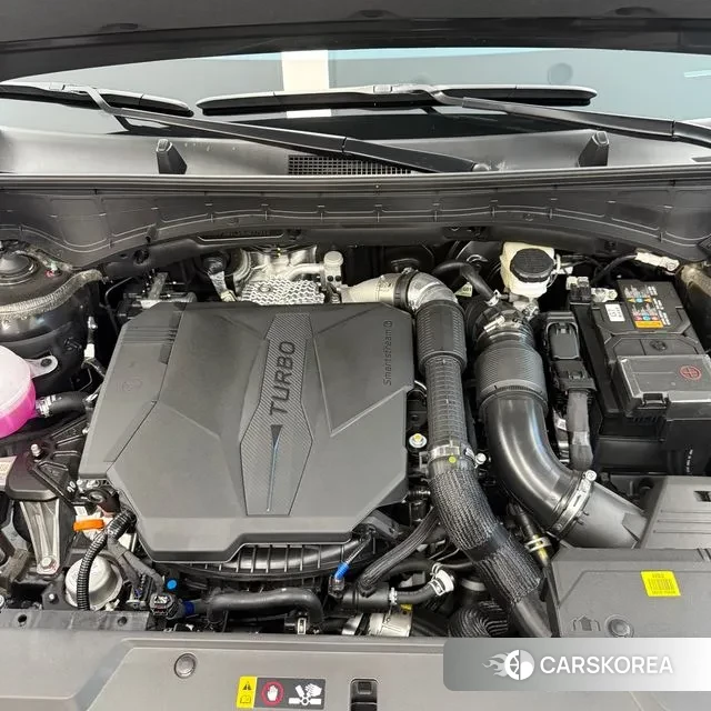 Hyundai Santa Fe (MX5) id 3015915 из Кореи 9