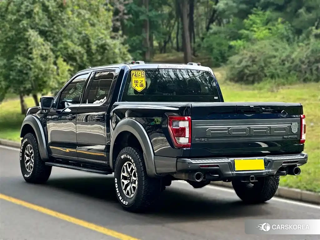 Ford F-150 Raptor id 4576829 из Китая 9