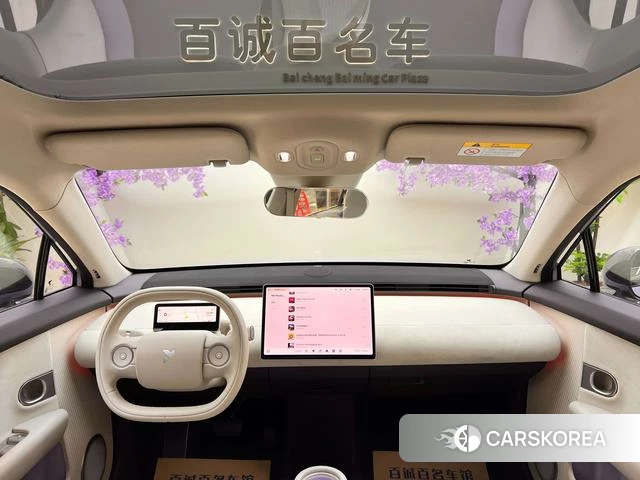 firefly firefly Unknown id 4198925 из Китая 9