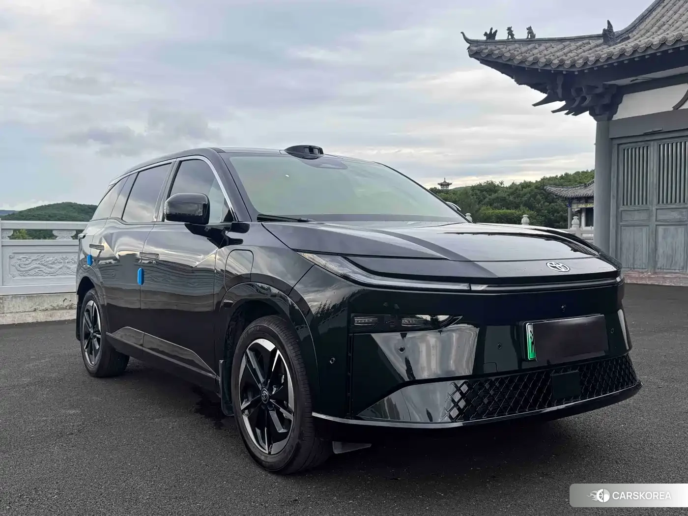 Toyota Platinum Wisdom 3X id 4659747 из Китая 9