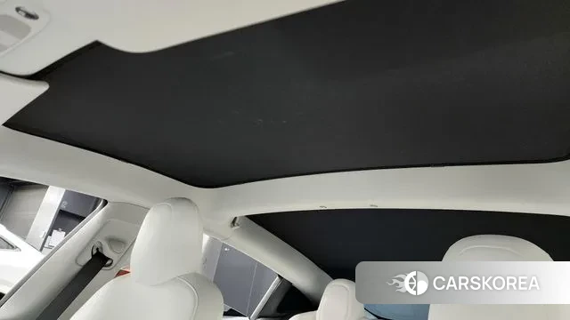 Tesla Model 3 id 3116222 из Кореи 9