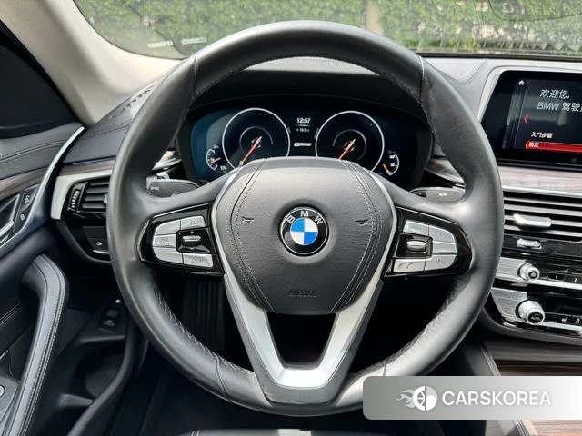 BMW 5 series PHEV id 4208440 из Китая 9