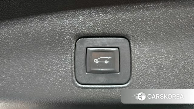 Chevrolet (GM Daewoo) Trailblazer id 4702811 из Кореи 9