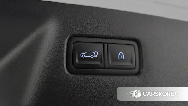 Hyundai Santa Fe (MX5) id 3322148 из Кореи 9