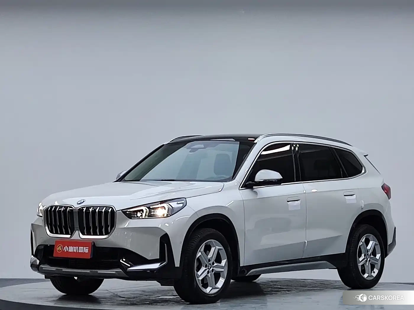 BMW X1 id 4654580 из Китая 10