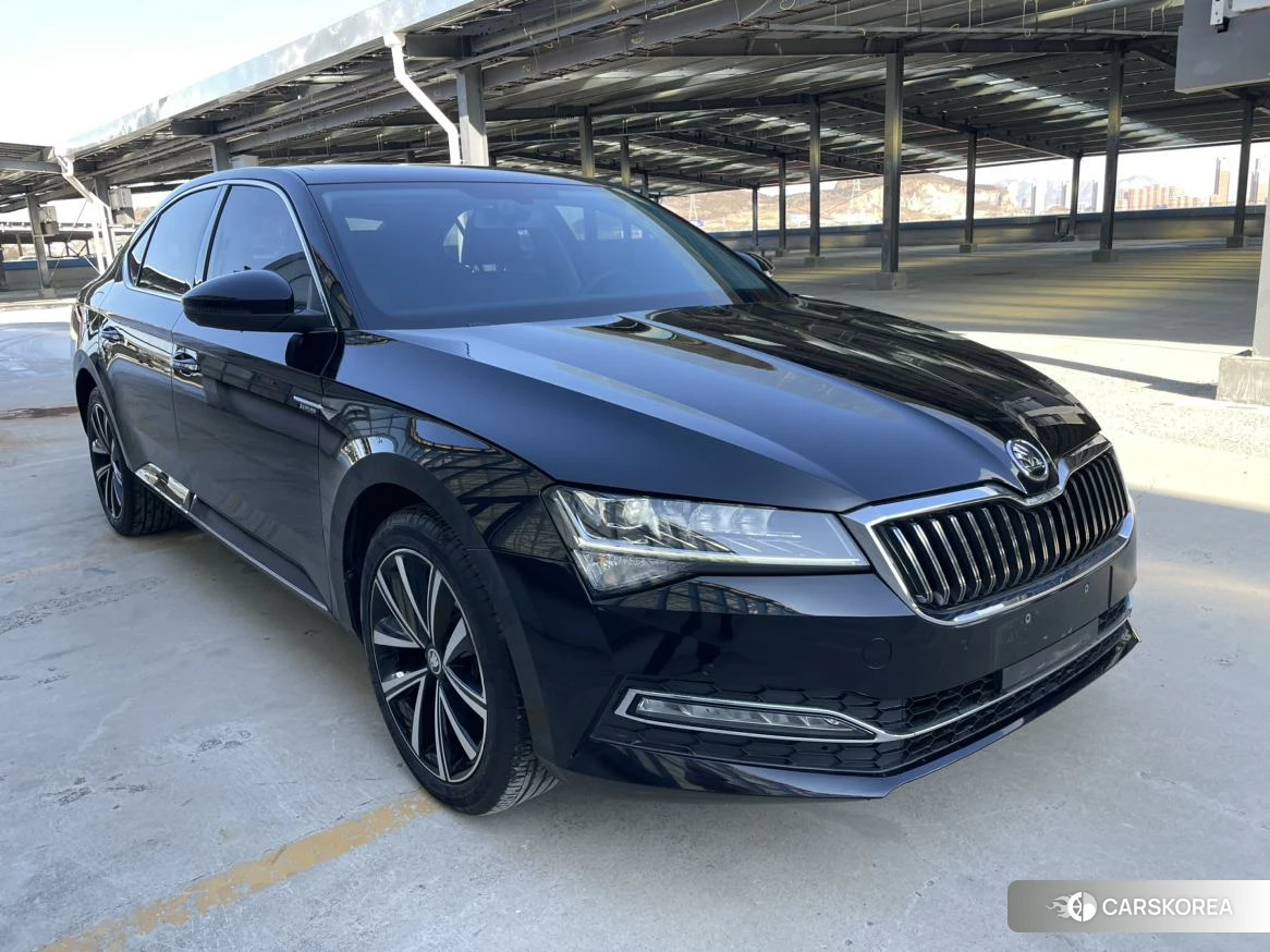 Skoda Speed pie id 4405991 из Китая 9